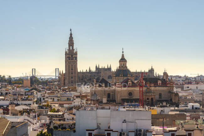 Cityscape with the Cathedral of seville with la giralda, seville, spain — стокове фото