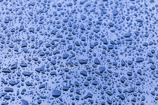 Raindrops on a car — Stock Photo