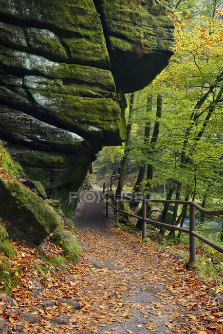 Tschechien, Böhmische Schweiz, Ticha Souteska, Wanderweg Edmundsklamm — Stockfoto