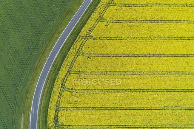 Abstrakte Luftaufnahme einer Landstraße durch landwirtschaftliche Felder mit Rapsfeld und Weizenfeld, Franken, Bayern, Deutschland — Stockfoto