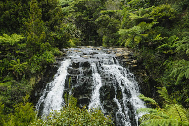Cascata vicino a Tauranga, Isola del Nord, Nuova Zelanda — Foto stock