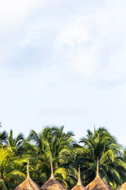 Palme, ombrelloni e cielo con nuvole sulla spiaggia, Holbox, Yucatan, Messico — Foto stock