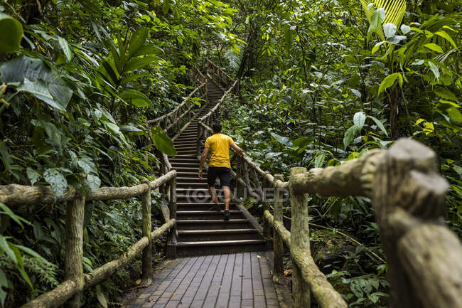 Hombre subiendo escaleras cerca de la cascada La Fortuna, La Fortuna, Costa Rica - foto de stock