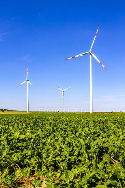 Ruedas de viento en el campo, Hesse, Alemania - foto de stock