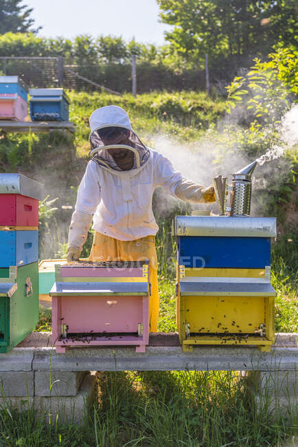 Imker am Bienenkorb mit Raucher — Stockfoto