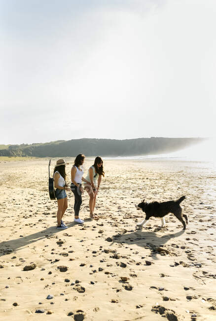 Drei Frauen mit Hund und Gitarre am Strand — Stockfoto