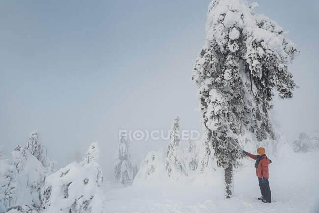 Garçon touchant un arbre au paysage hivernal, Arbermandel, Monts Ore, Allemagne — Photo de stock
