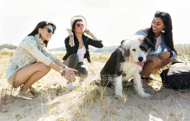 Three happy women with dog on the beach — Stock Photo
