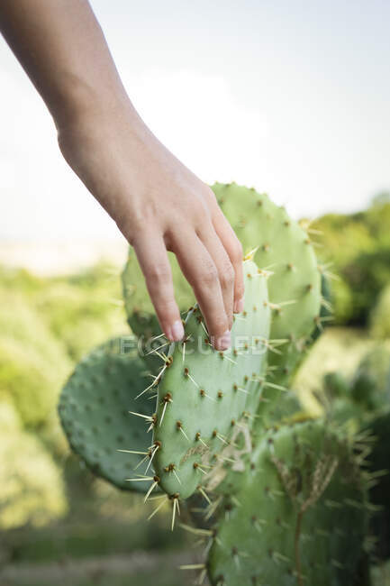 Filles main touchant un cactus, Toscane, Italie — Photo de stock