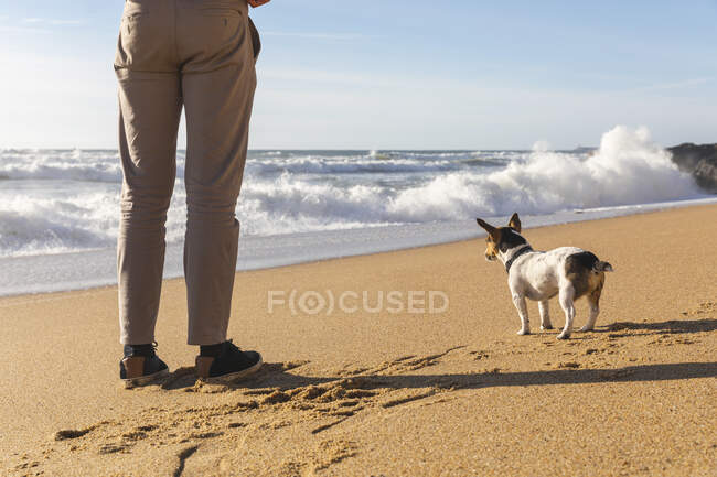 Португалія, Порто, вигляд на молодого чоловіка з його собакою, що стоїть на пляжі. — стокове фото