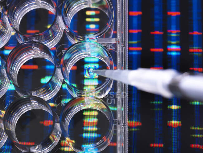 Investigación de ADN, muestras de ADN en una placa de varios pozos listo para su análisis con los resultados de ADN en el fondo - foto de stock