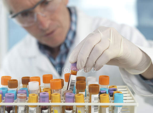 Медицинский техник проверяет образцы крови в лаборатории — стоковое фото