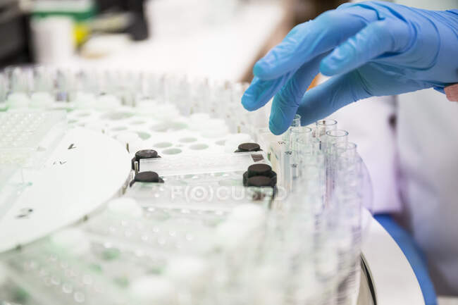 Persona de la cosecha en guantes de látex tomando muestras trabajando en laboratorio moderno - foto de stock