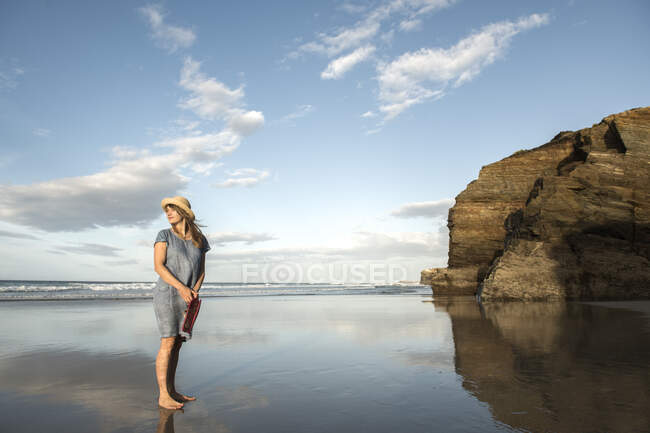 Mujer de pie en la playa, mirando al mar — En movimiento, una persona -  Stock Photo | #463057860