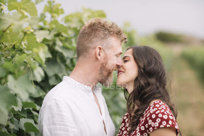 Lovers in the vineyards — Stock Photo