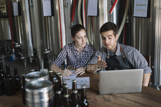 Молодые предприниматели, работающие на пивоварне — стоковое фото