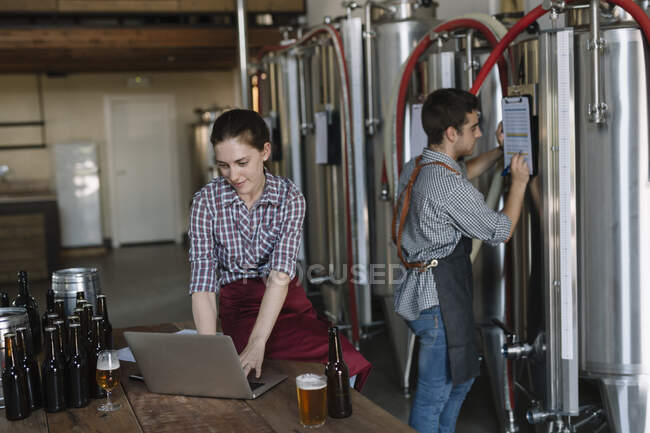 Молоді підприємці, які працюють з ноутбуком у пивоварні. — стокове фото