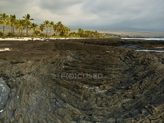 Vulkanische Felsen und Bäume im Puuhonua O Honaunau National Historical Park vor bewölktem Himmel — Stockfoto