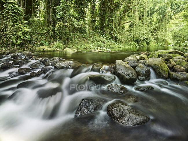 Flusso che scorre attraverso le rocce nella foresta pluviale nella valle di Waipio — Foto stock