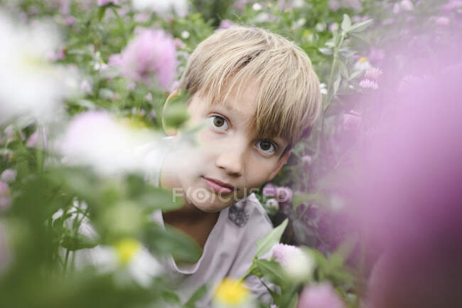 Menino olhando para câmera no campo de flores — Fotografia de Stock