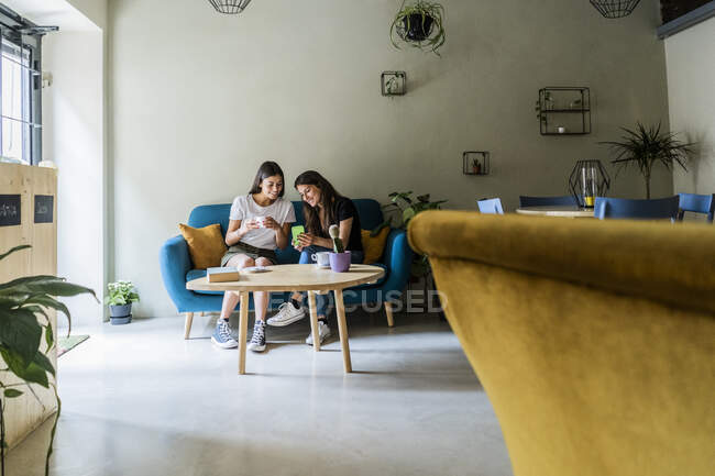 Due giovani amiche sedute su un divano in un caffè che condividono il cellulare — Foto stock