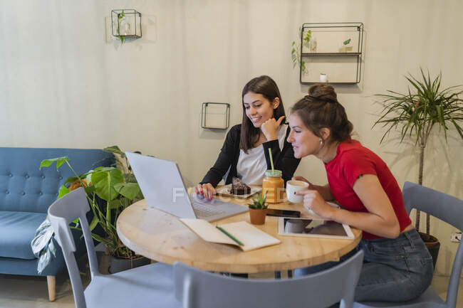 Две молодые женщины используют ноутбук в кафе — стоковое фото