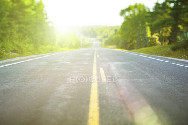 Пустая дорога в подсветке, провинциальный парк Алгонкин, Онтарио, Канада — стоковое фото