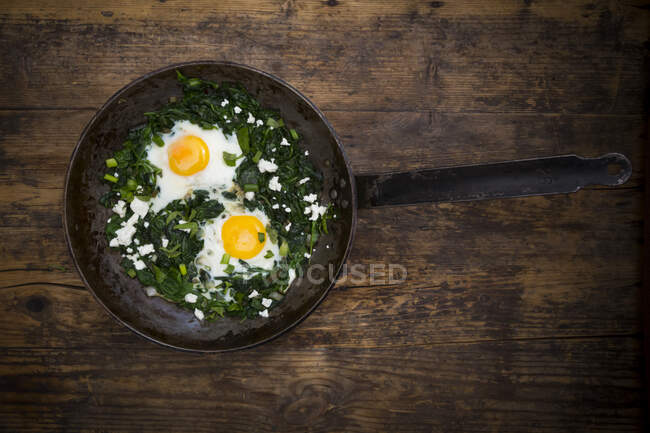 Green Shakshouka with baby spinach, chard, spring onions and basil in a pan — Stock Photo