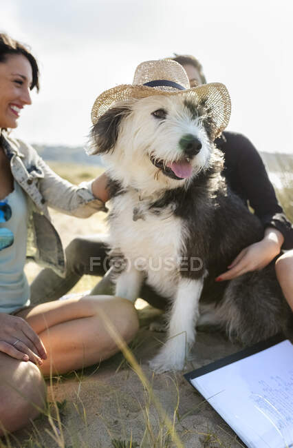 Mulheres felizes com cão vestindo um chapéu de palha na praia — Fotografia de Stock