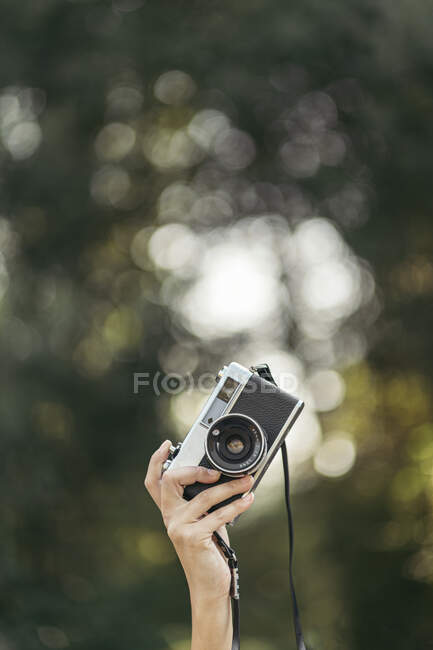 Рука тримає сіру і чорну аналогову камеру з ефектом лісового боке на задньому плані — стокове фото
