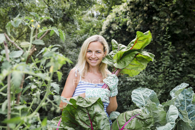 Blond woman harvesting mangold — Stock Photo
