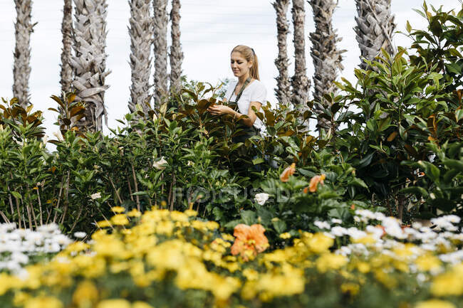 Mitarbeiterin in einem Gartencenter pflegt Blumen — Stockfoto