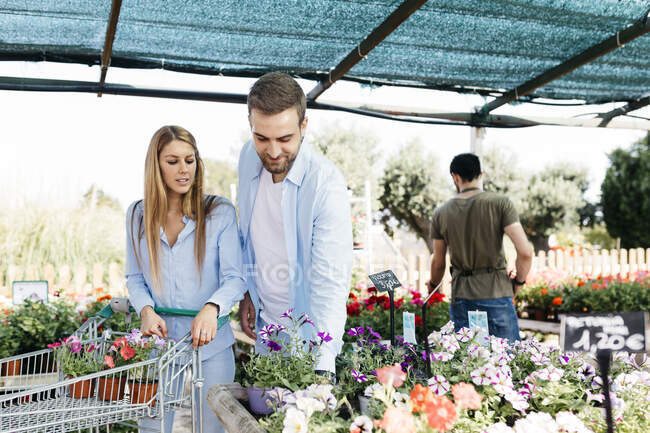 Пара купує квіти в садовому центрі. — стокове фото