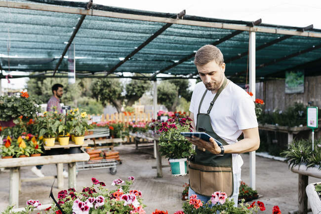Trabajador en un centro de jardinería usando una tableta - foto de stock