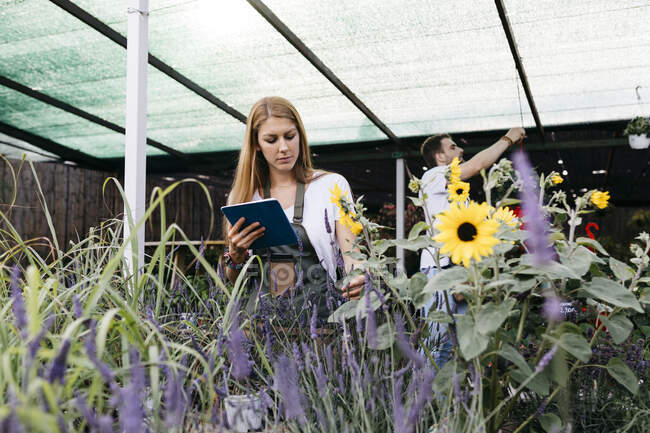 Travailleuse dans un centre de jardin avec une tablette prenant soin des fleurs — Photo de stock