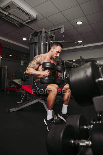 Muscular man training in gym — Stock Photo