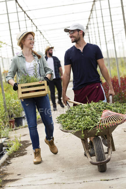 Lächelnde Männer und Frauen transportieren Pflanzen mit Schubkarre und Holzkiste in einem Gewächshaus — Stockfoto