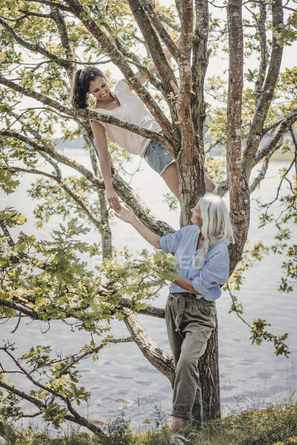 Мати спостерігає за донькою, лазить на дереві. — стокове фото