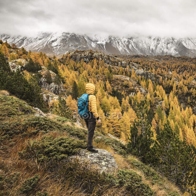 Hiker standing and looking over alpine plateau in autumn, Sondrio, Italy — Stock Photo