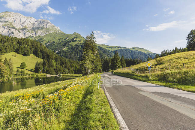 Austria, Carintia, Vista panorámica de la carretera vacía en el valle boscosa de los Alpes Cárnicos en verano - foto de stock