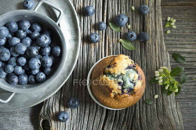 Baking pan with heap of fresh blueberries and single blueberry muffin — Stock Photo