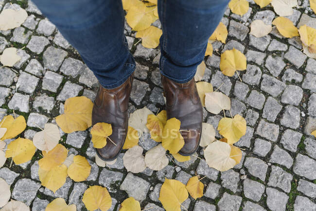 Close-up of man standing in autumn leaves on cobblestone pavement — Stock Photo