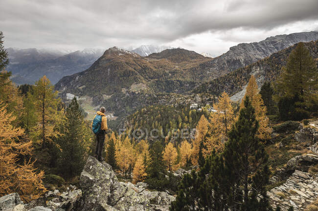 Randonneur debout et regardant au-dessus du plateau alpin en automne, Sondrio, Italie — Photo de stock