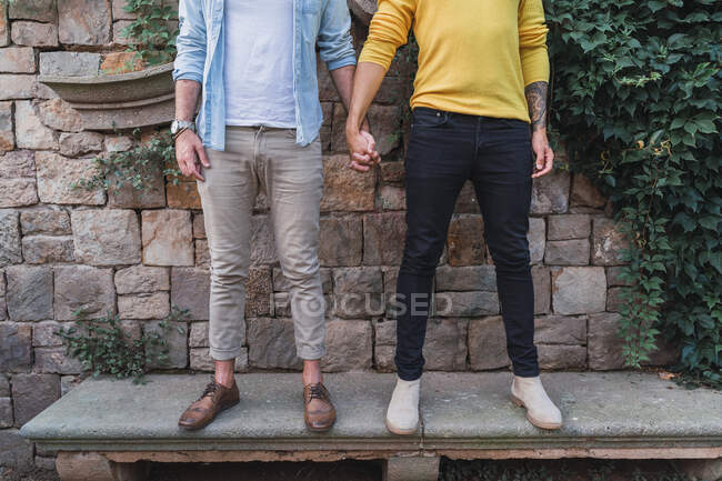 Вид на гомосексуальну пару, що стоїть в руці на лавці — стокове фото