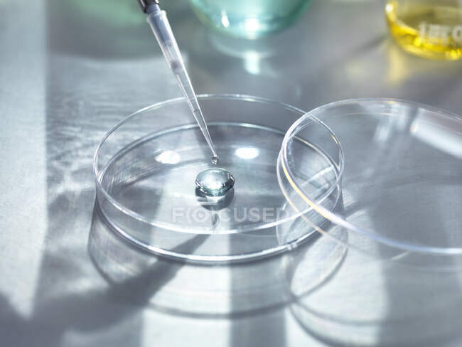 Close-up of medical samples pipetting in petri dish for experiment at laboratory — Stock Photo