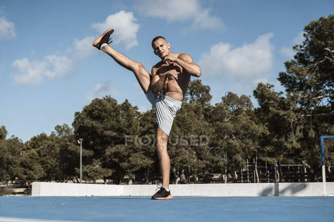 Retrato de un hombre musculoso desnudo practicando ejercicios de fitness al aire libre - foto de stock