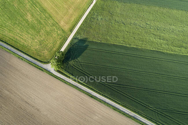 Germania, Baviera, Veduta aerea delle strade di campagna che tagliano i verdi campi di campagna in primavera — Foto stock