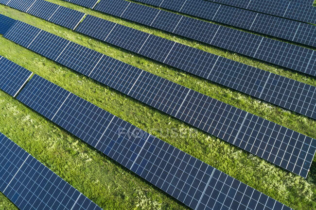 Baviera, Alemania, Filas de paneles solares dispuestas sobre hierba - foto de stock