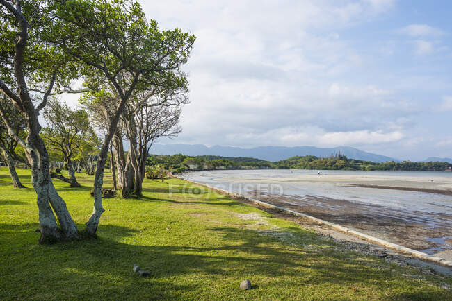 Vista panorámica de árboles creciendo en la playa contra el cielo nublado, Noumea, Nueva Caledonia - foto de stock