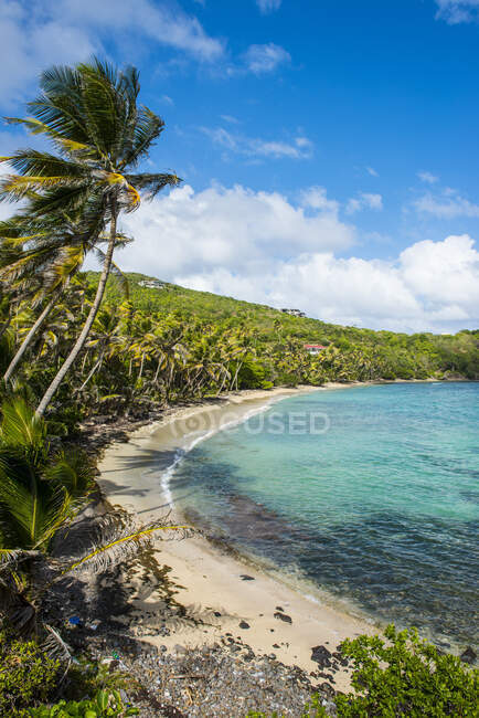 Vista panoramica sulla spiaggia sabbiosa di Industry Bay, Bequia, St. Vincent e Grenadine, Caraibi — Foto stock
